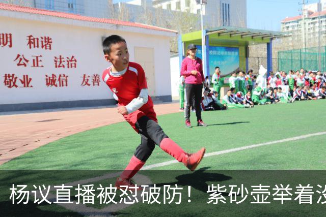 杨议直播被怼破防！紫砂壶举着没喝，弹幕骂他为流量蹭热点